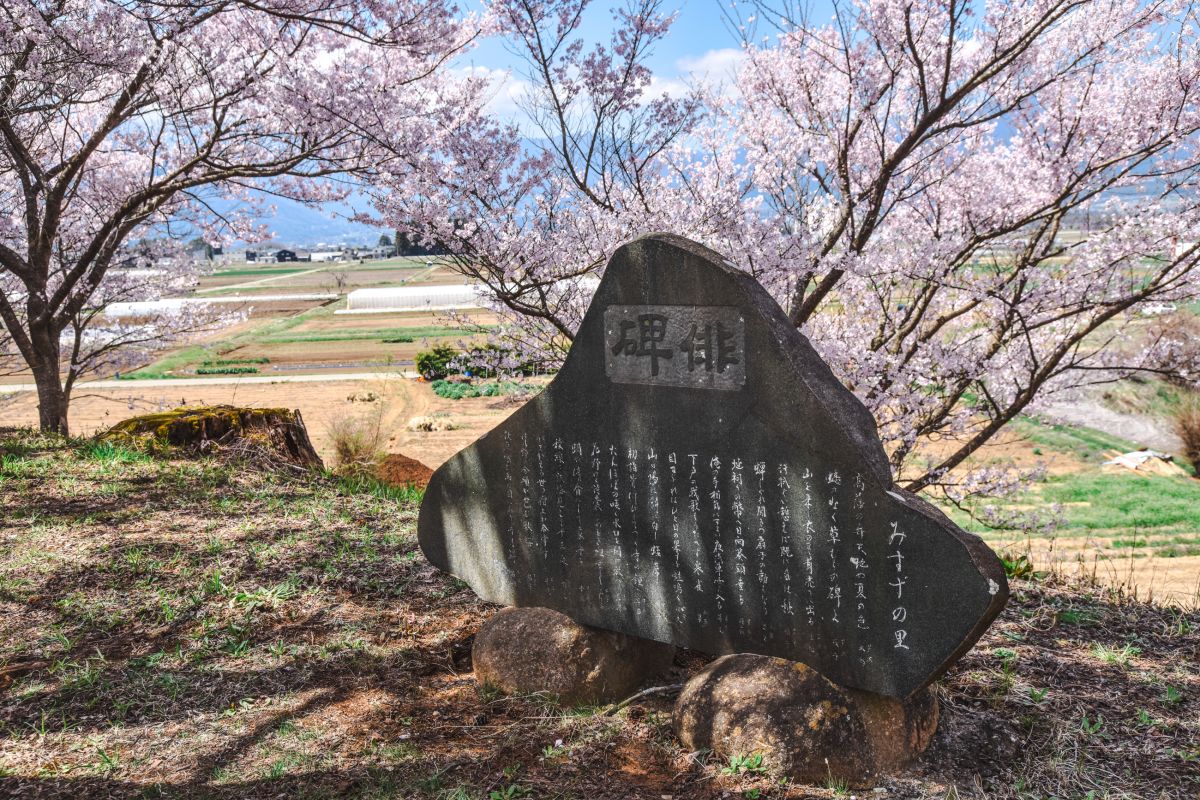 南信州の桜旅　六道の堤